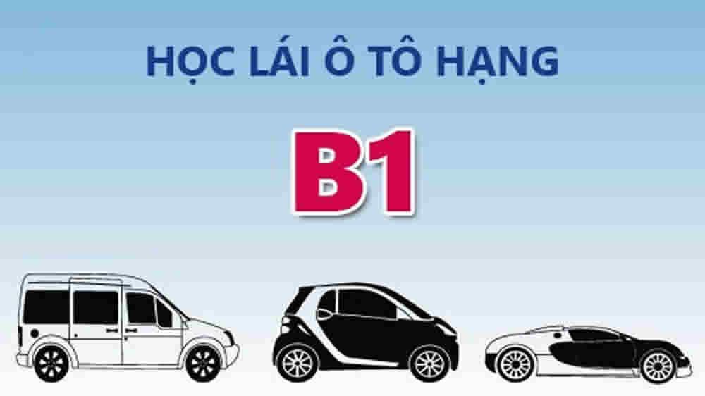 Sở hữu bằng lái xe B1 giúp bạn có thể điều khiển nhiều loại xe ô tô