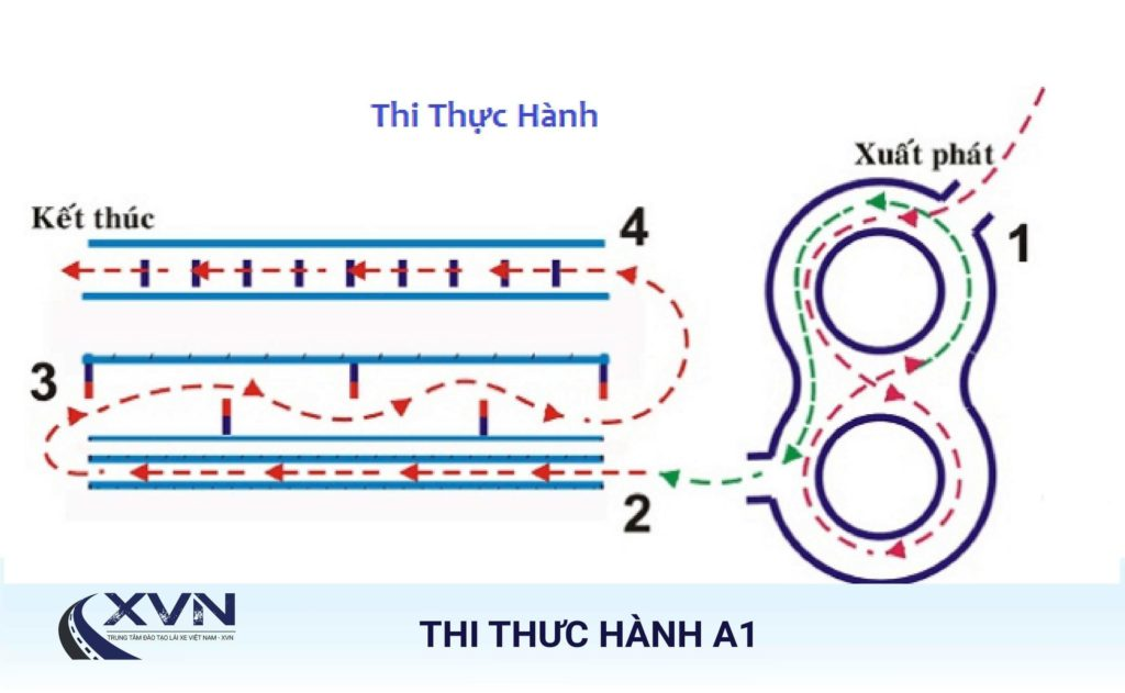 Sơ đồ thực hành thi bằng lái xe máy A1